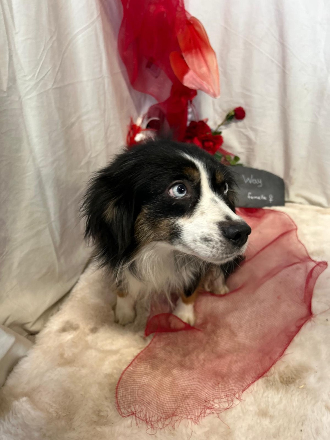 U ARE ON MY WAY de la rivière des Aulnes